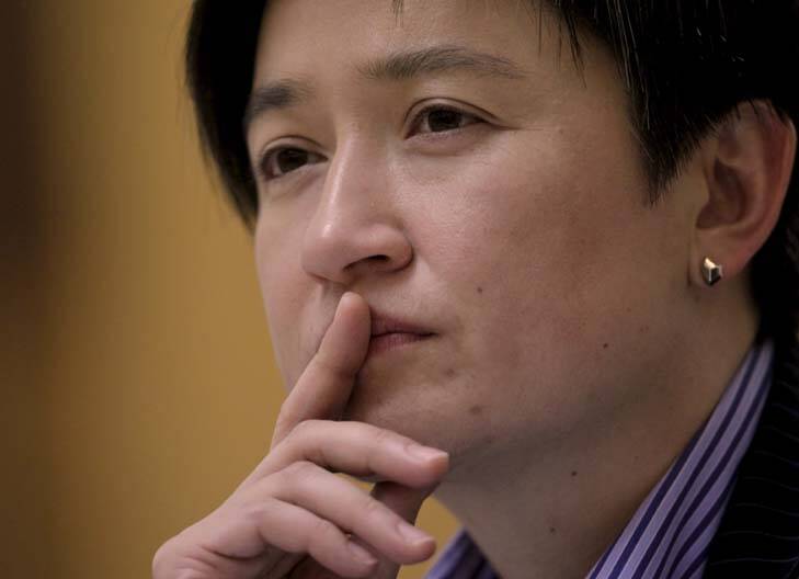 Penny Wong ... ‘‘schoolyard’’. Photo: Andrew Meares