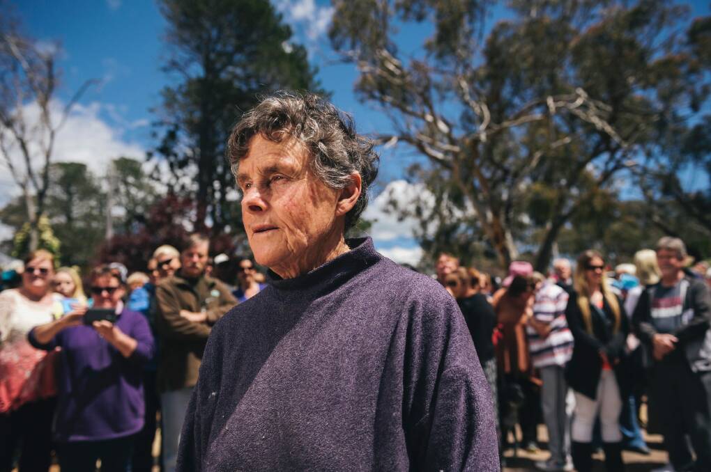 Suspended veterinarian Jan Spate, who has pleaded guilty to a series of vet practice offences. Photo: Rohan Thomson