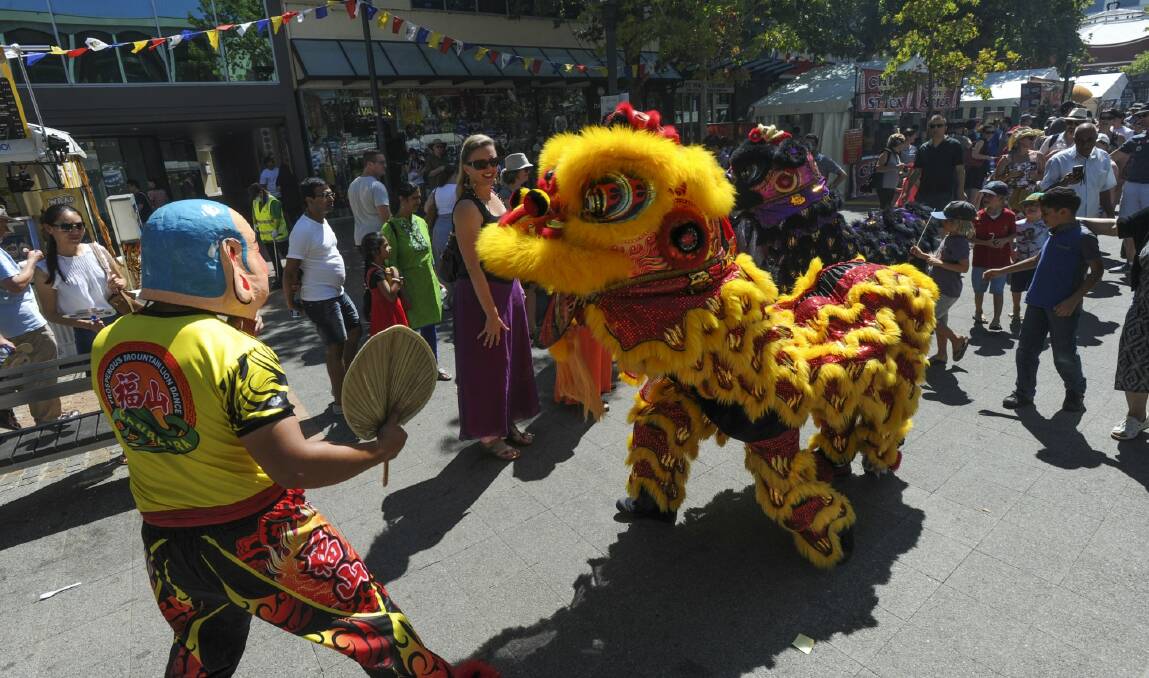 A Chinese Dragon weaves its way through the crowd at the National Multicultural Festival, where Mr Osman is lobbying for stallholder changes. Photo: Graham Tidy