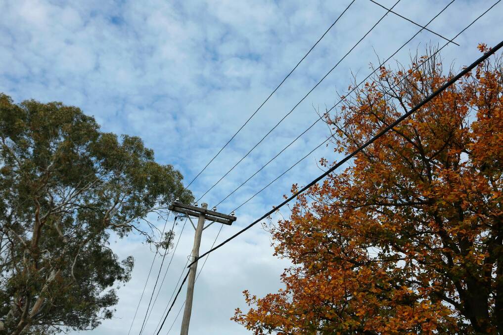 Power lines in Red Hill. Thousands of Canberrans have missed out on utility rebates when they were legally entitled to them. Photo: Jeffrey Chan