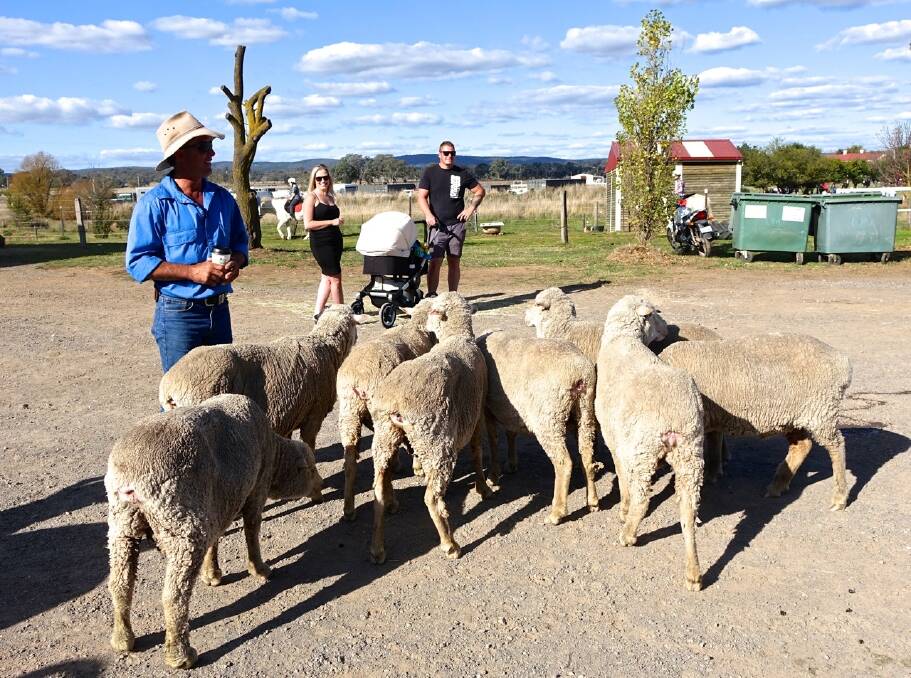 Families enjoyed getting close to farm animals at the Majura Valley Bush Festival last weekend. Photo: Linda Muldoon