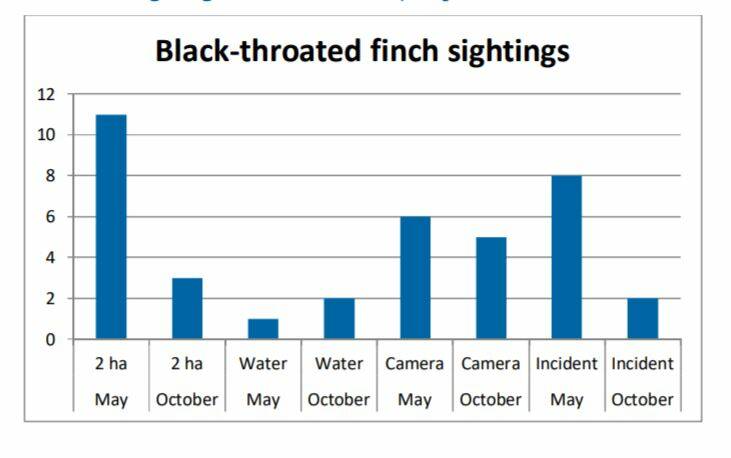 Figures showing the break-down of black-throat finch findings in the Carmichael Mine site area in 2014. Photo: 2014 GHD black-throated finch study