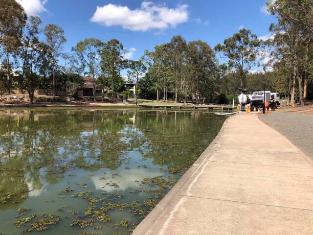 Forest Lake on November 20, after contractors had almost removed the salvinia weed from the lake. Photo: Supplied