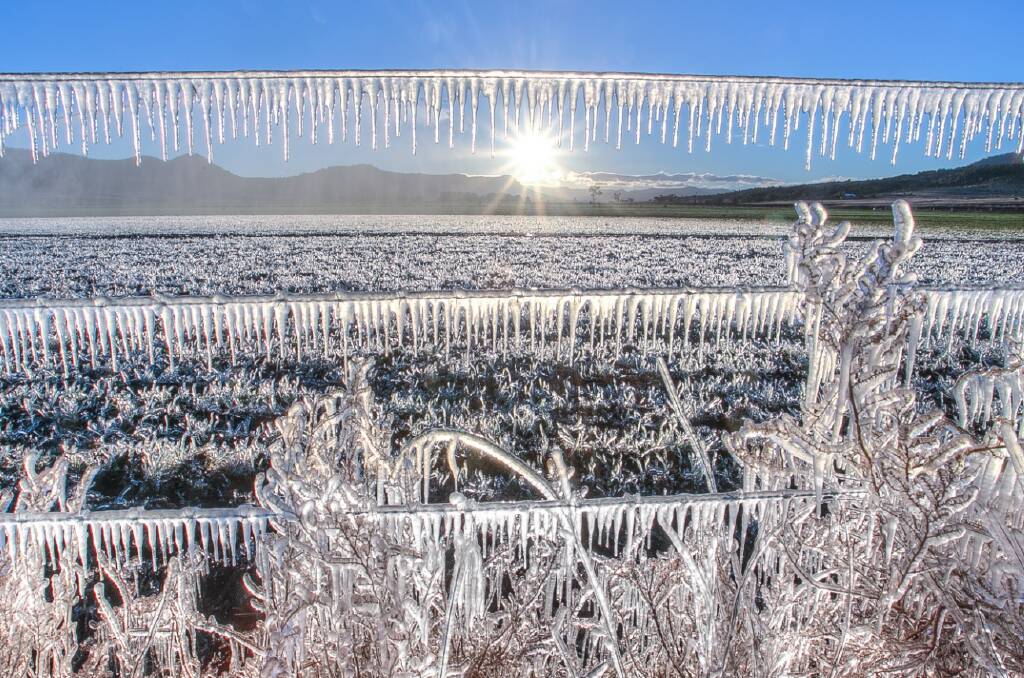 Frozen dairy farm fields created a stunning sight near Warwick in Queensland's Southern Downs on June 18. (File Image) Photo: Supplied - Chris McFerran