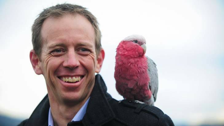 A galah joined Shane Rattenbury at the RSPCA's Weston HQ for the announcement about the new facility. Photo: Katherine Griffiths