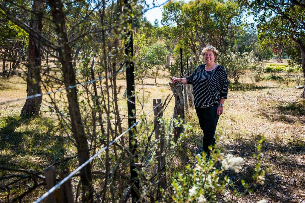 Chair of Royalla Landcare, Maryke Booth, who is currently split between Palerang and Queanbeyan, is happy with the amalgamation of the two councils. Photo: Elesa Kurtz