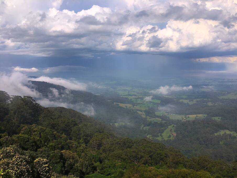 The proximity of the Illawarra escarpment is one of the reasons for the ‘Highland’s Mist’. Photo: Tim the Yowie Man
