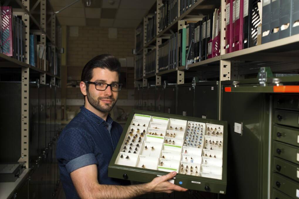 Entomologist Bryan Lessard of the Australian National Insect Collection at CSIRO Canberra has been announced as a speaker at TEDxCanberra 2016. Photo: Martin Ollman