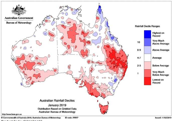 Tropical Cyclone Oma is expected to bring rainfall to large areas of drought-ravaged Queensland. Photo: Bureau of Meteorology