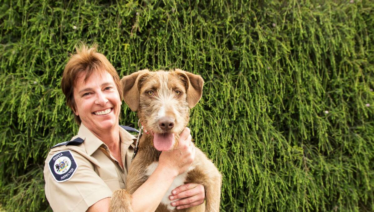 Former RSPCA ACT inspector Catherine Croatto has been awarded the inaugural Animal Defenders Office's animal protection award for 2017.  Photo: Supplied