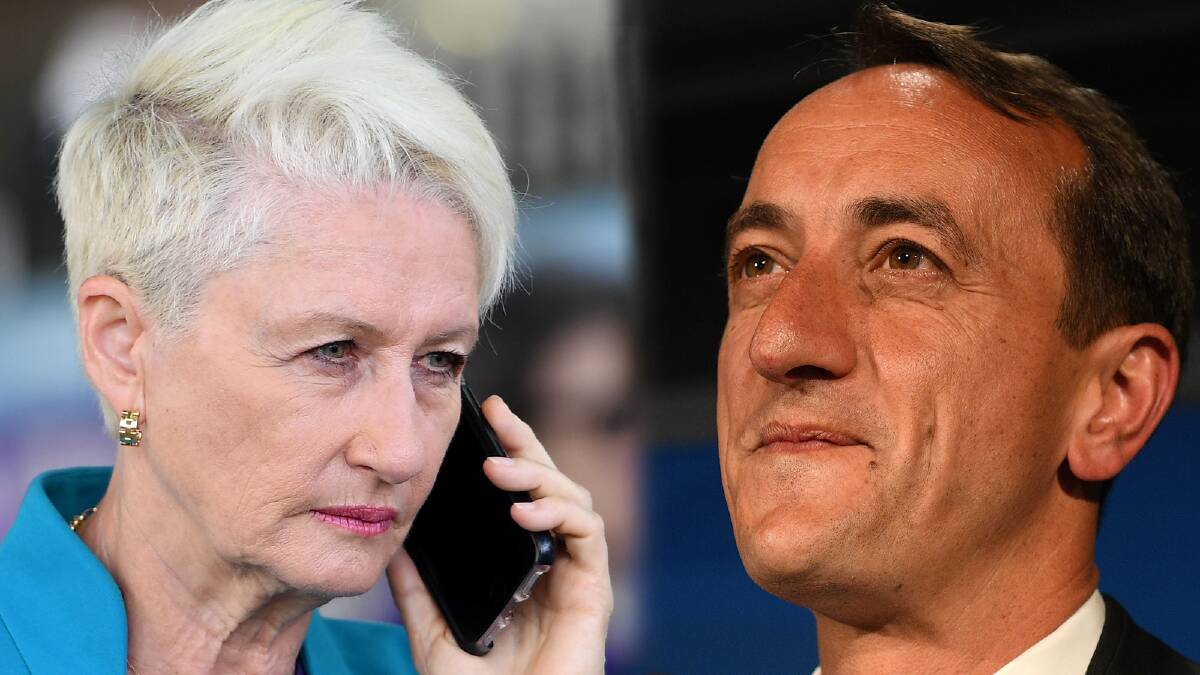 Kerryn Phelps and Dave Sharma are battling it out to win Wentworth.  Photo:  