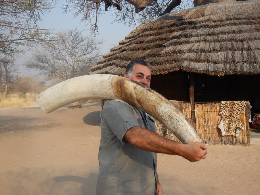 Nick Haridemos poses with ivory while on safari in Namibia.  Photo: Supplied