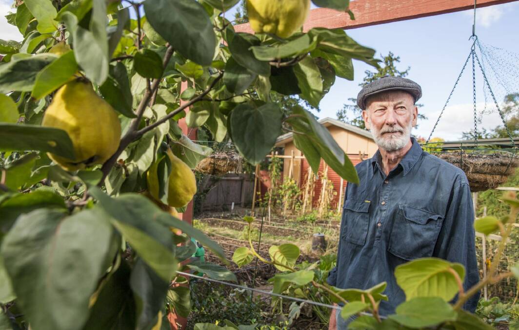 Keith Colls, the Canberra City Farm treasurer and co-founder, in his Weetangera garden.
 Photo: Matt Bedford