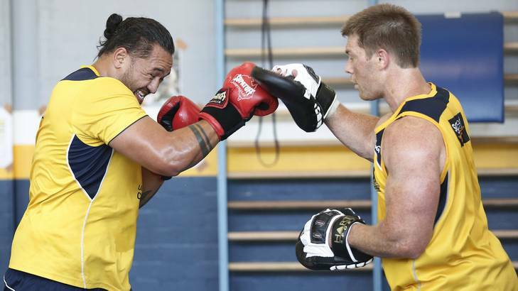 Brumbies players Fotu Auelua and Clyde Rathbone boxing during training. Photo: Jeffrey Chan