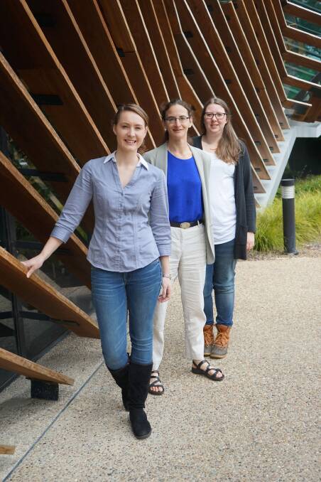 PhD student Erin Andrew with supervisor Dr Aude Fahrer and the previous PhD student in the lab Dr Christina Carroll. Photo: Sharyn Wragg