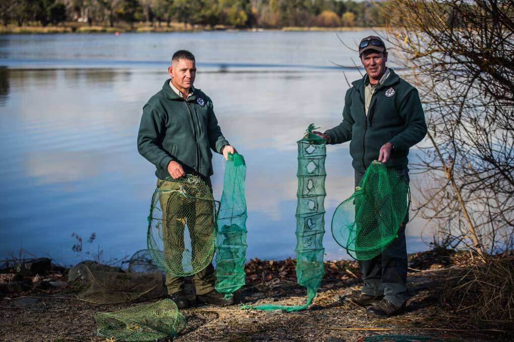 Senior Parks and conservation officers Chris Troth, left,  and Brian Summers hold up illegal nets found in Lake Burley Griffin. Photo: Karleen Minney