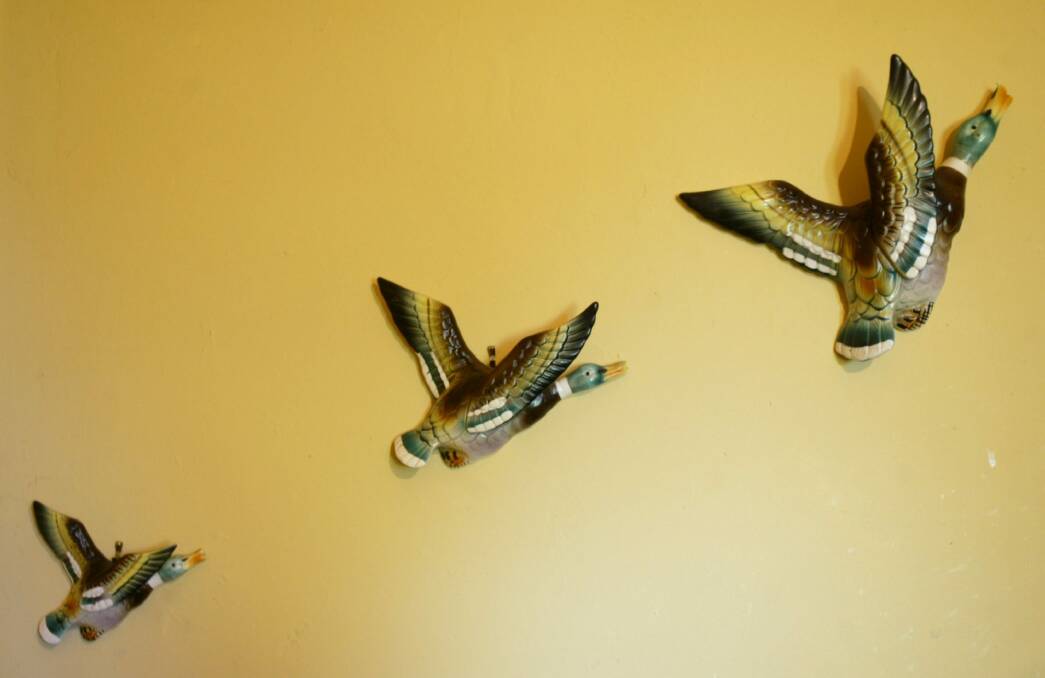 Every kitchen in Australia seemed to have these three ceramic flying ducks on the wall in the '70s. Photo: Steven Siewert