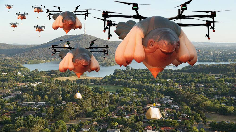 Drones, shaped like the infamous hot air balloon Skywhale, delivering burritos and coffee to your doorstep. One can only dream.... (digitally altered image) Photo: supplied