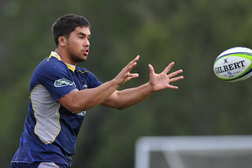 The Brumbies are hoping Jarrad Butler re-signs with the club and steps up to replace David Pocock next year. Photo: Jeffrey Chan