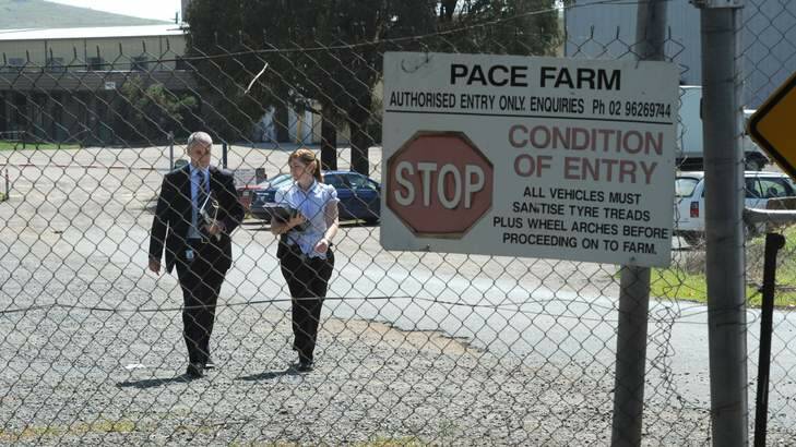 Police visit Pace Farm last year after activists attacked the site. Photo: Graham Tidy