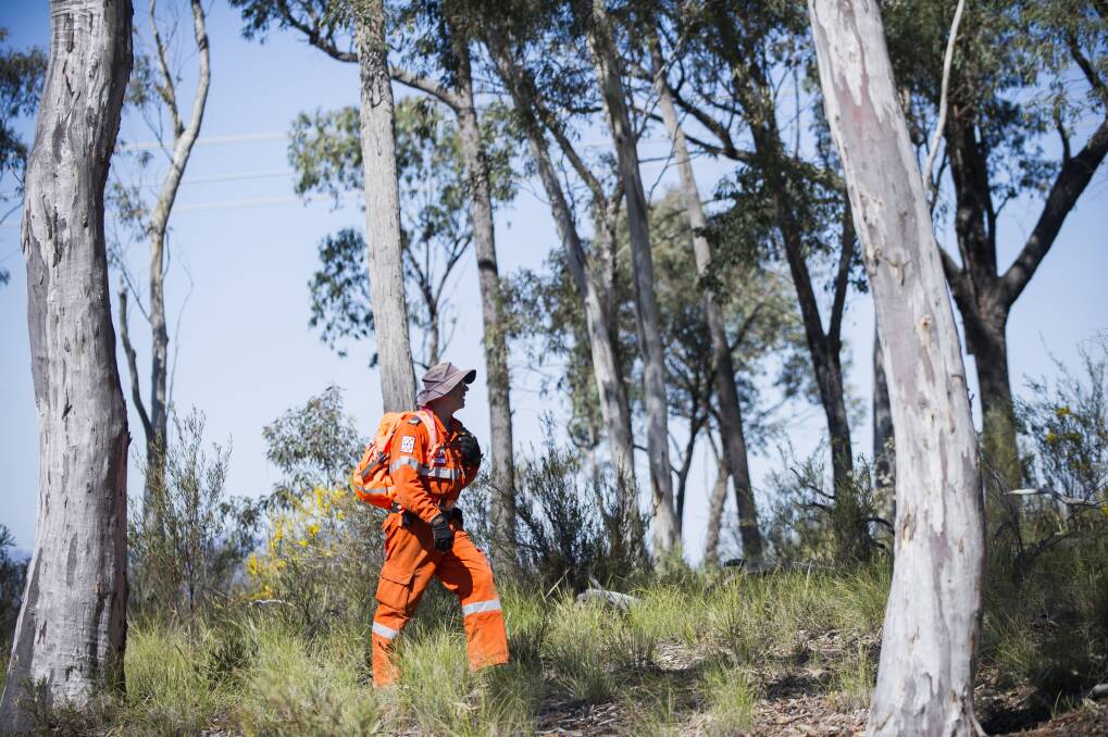 SES and ACT Police searching Bushland on the western side of Caswell Drive in Aranda for missing teen Kathleen Bautista. Photo: Rohan Thomson