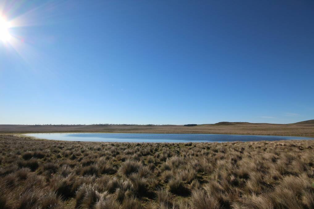 One of 215 ephemeral lakes on the Monaro. Photo: David Moore