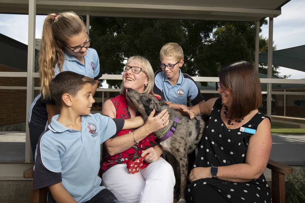 Holy Spirit's therapy dog Rosie with (clockwise from left) Year 4 student Atticus Donnelly, 9 years old, Mikayla Ford, 11 years old,  student welfare officer Sharon Harrison, Year 6 student Hamish Ellison, 11 years old, and deputy principal Anna D'Amico.  Photo: Sitthixay Ditthavong