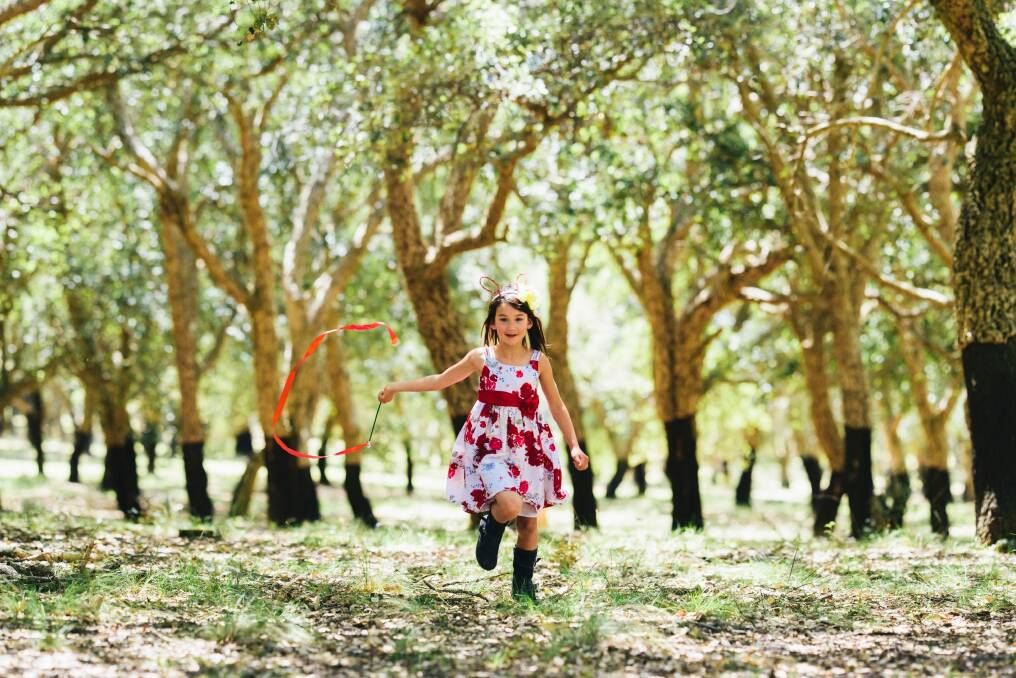 Madison Oei, 6, of Duntroon enjoying the cork forest as part of centenary celebrations at the National Arboretum. Photo: Rohan Thomson