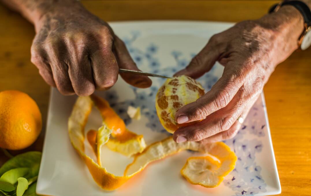 Terry Fewtrell peeling a Fewtrell’s early mandarin. Photo: Karleen Minney