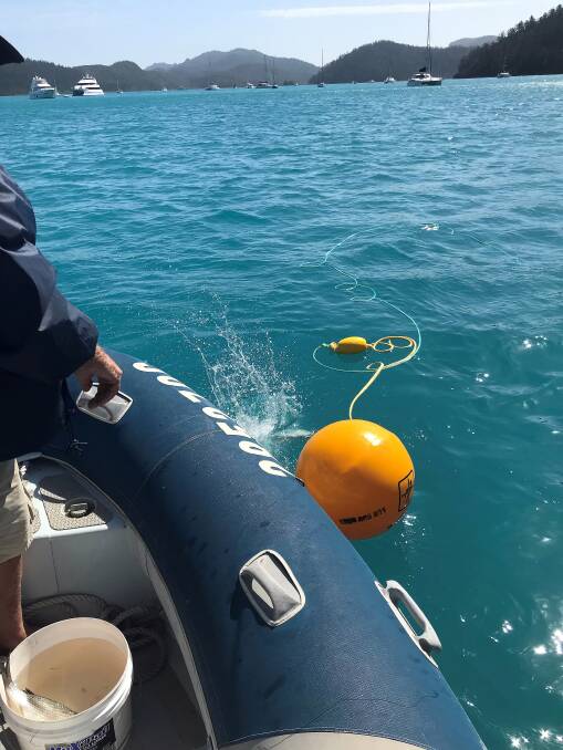 Shark control equipment deployed in the Whitsundays.  Photo: Queensland Department of Agriculture and Fisheries