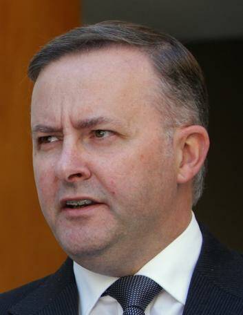 Transport Minister Anthony Albanese says the approval of the Tralee development "doesn't make any sense". Photo: Alex Ellinghausen
