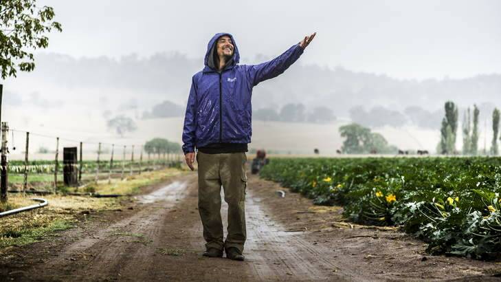 Zucchini picker, Billy McCosker from Canberra, enjoying the rain at Karlton Park farm at Sutton. Photo: Rohan Thomson
