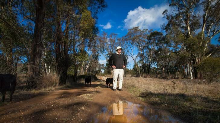 David Watson with his dogs on his property between Queanbeyan and Bungendore. Photo: Katheirne Griffiths