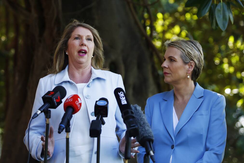 Catherine King and Tanya Plibersek have been developing a plan for women's reproductive health since the 2016 election.  Photo: AAP