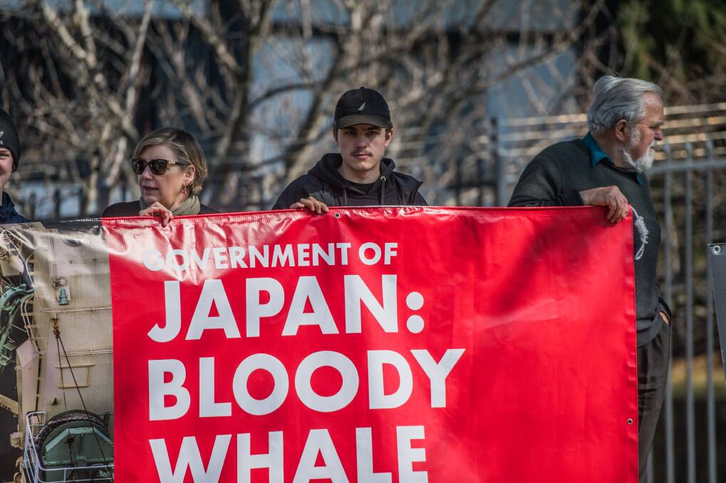 People protest outside the Japanese Embassy in Canberra. Photo: Karleen Minney