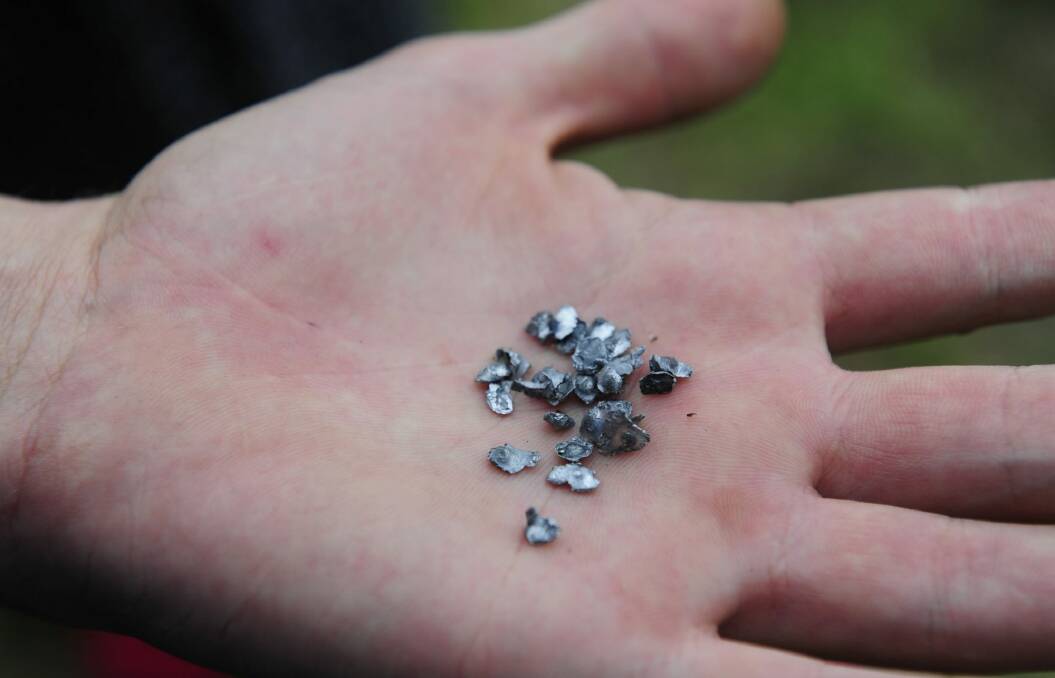 Fragments from the bullet that was fired into a Queanbeyan home.  Photo: Melissa Adams