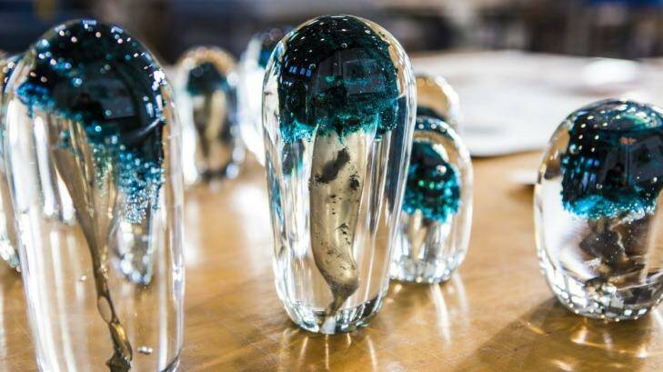 Emilie Patteson and Annika Romeyn's collaboration of works, <em>Mushrooms</em>, at the Canberra Glassworks Photo: Jamila Toderas