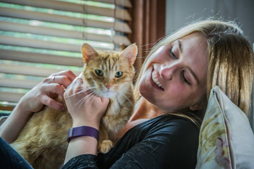 Lexi Monaghan's cat Rufus needed antibiotics because he was sick with the cat flu as a kitten. Photo: Karleen Minney