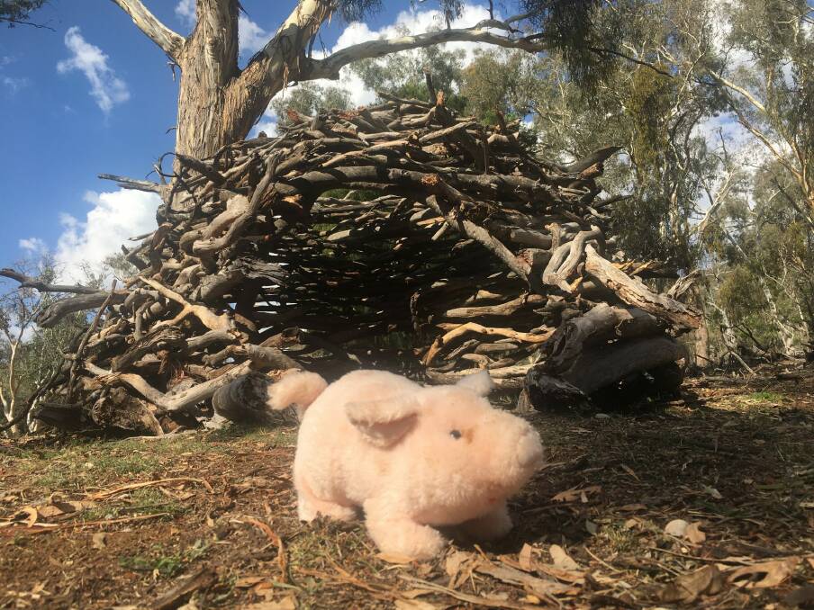 A toy pig guards the Ainslie stick house.  Photo: Tim the Yowie Man