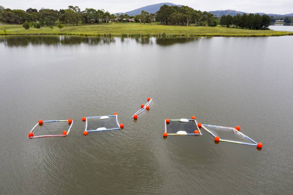 The five separate water columns at Lake Tuggeranong, which go 10 metres deep and hold 160,000 litres of water each. Photo: Sitthixay Ditthavong