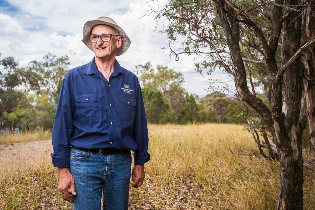 Ralph Farnbach volunteers with Bush Heritage Australia to help keep rabbit populations controlled in Canberra and surrounds. Photo: Matt Bedford