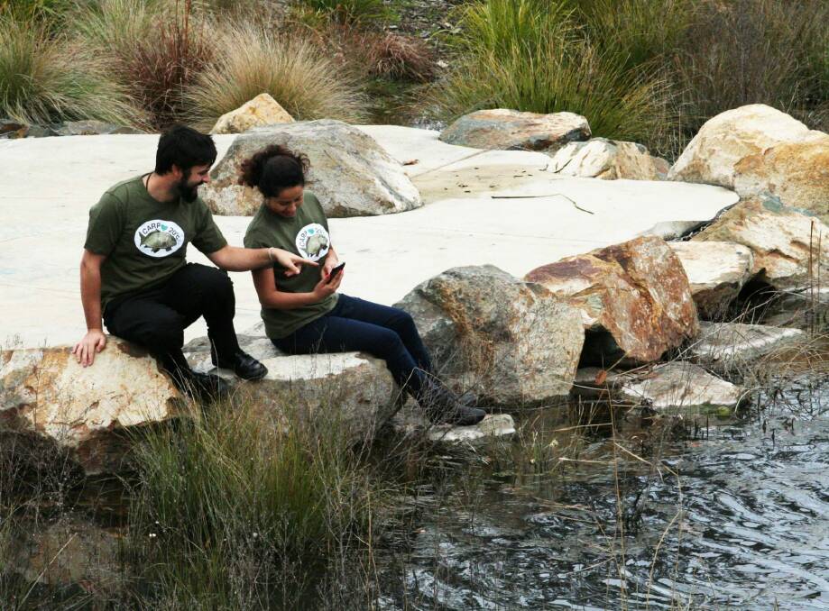 Canberrans are being urged to take part in this year's #carplove20 campaign. Photo: ACT Parks and Conservation