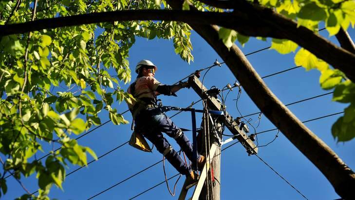 ActewAGL line worker James Baguley climbs an old timber power pole. Photo: Colleen Petch