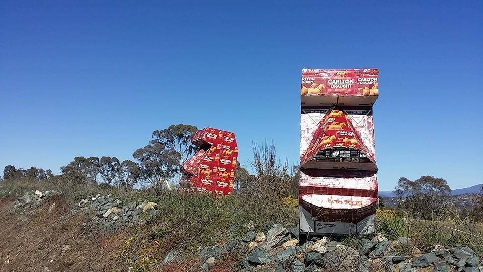 The cardboard sculptures have caught the attention of Canberra drivers.  Photo: The Canberra Page/Facebook