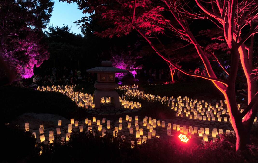 Lennox Gardens lit up for the Nara Candle Festival. Photo: Graham Tidy