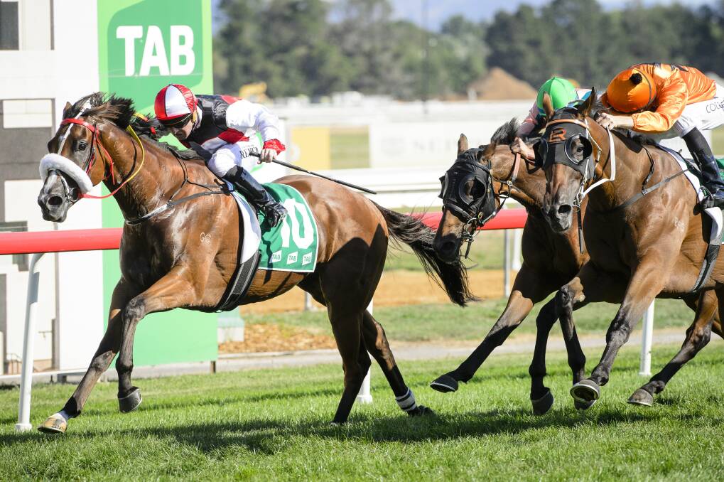 Almost Court, left, wins the Canberra Cup earlier this year. Photo: Sitthixay Ditthavong