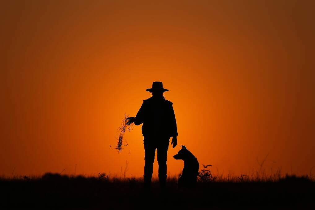 A farmer releasing dead grass while standing next to a dog, silhouetted at sunset on her farm in Wandandian, New South Wales. Photo: Brendon Thorne/Bloomberg