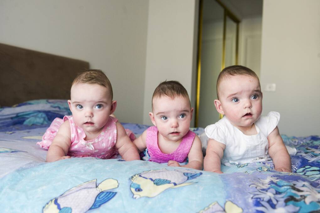 Identical triplets Aleisha Keen, Maddilyn Keen, and Eloise Keen 7 months old.  Photo: Dion Georgopoulos