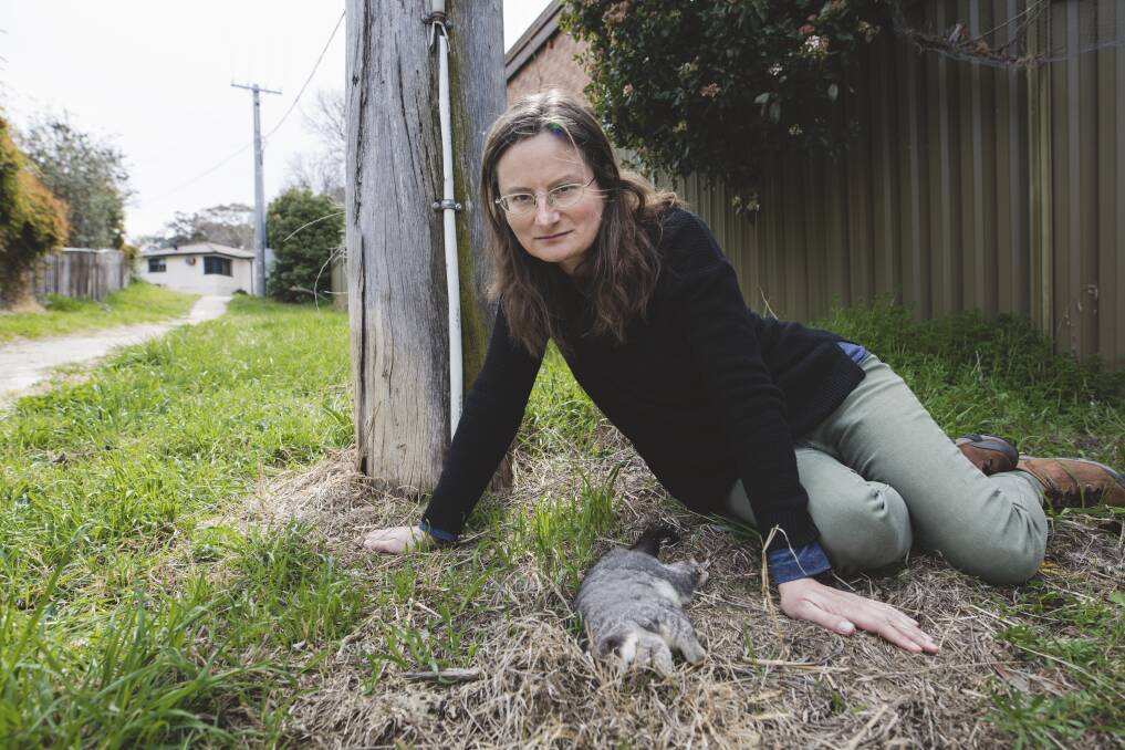 Macgregor resident Caroline Wenger with a dead possum she found near her home. Photo: Jamila Toderas
