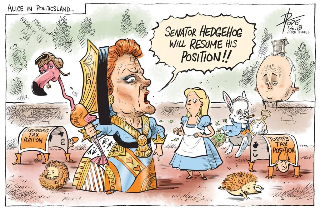 The Canberra Times editorial cartoon for June 1, 2018. Cartoon by David Pope. Photo: David Pope